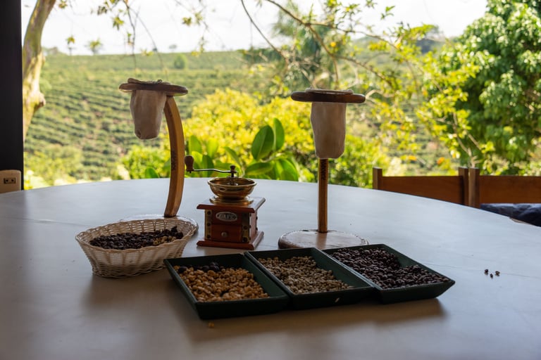 A container for separating coffee beans