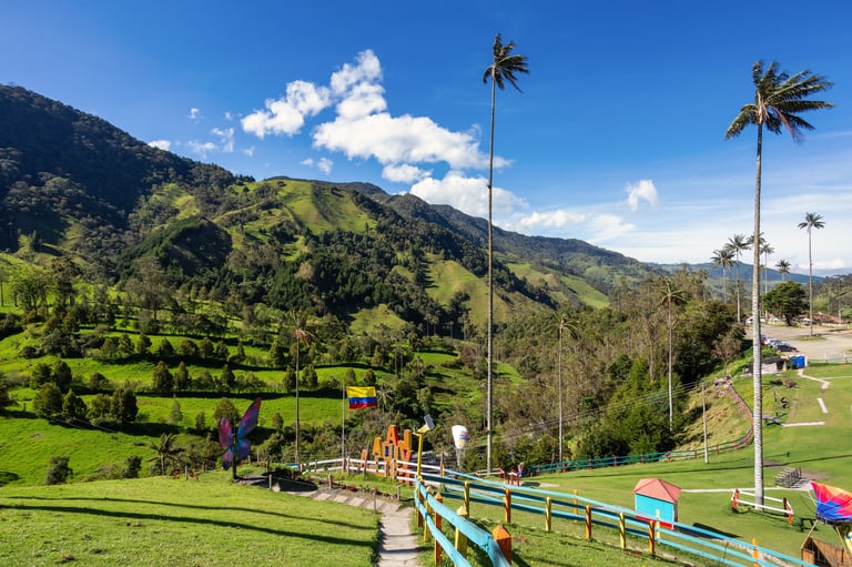 Entertainment center in Valle del Cocora Valley with tall wax palm trees. Salento, Quindio department. Colombia travel destination.