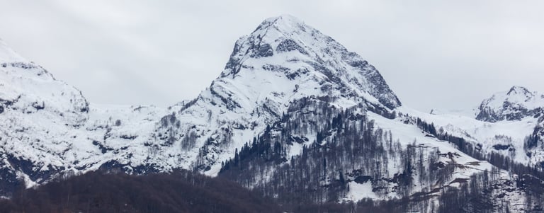 Pico de montaña nevado con laderas boscosas cubiertas de nieve
