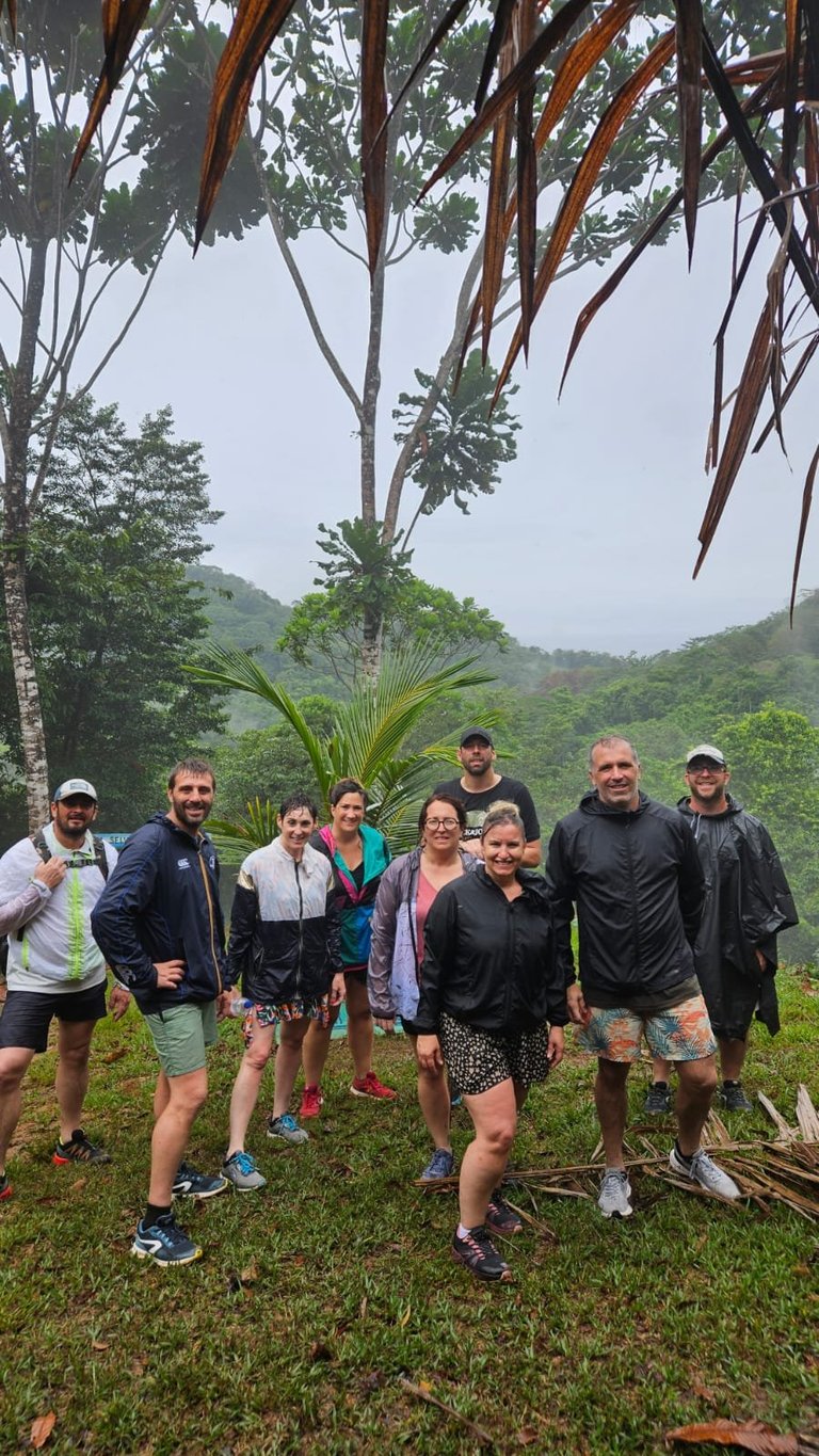 Group of hikers standing together under tall trees in a lush, misty jungle landscape