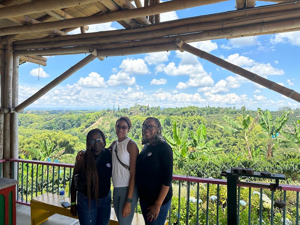 Three people standing on a wooden deck overlooking a vast green rainforest landscape with blue sky and clouds